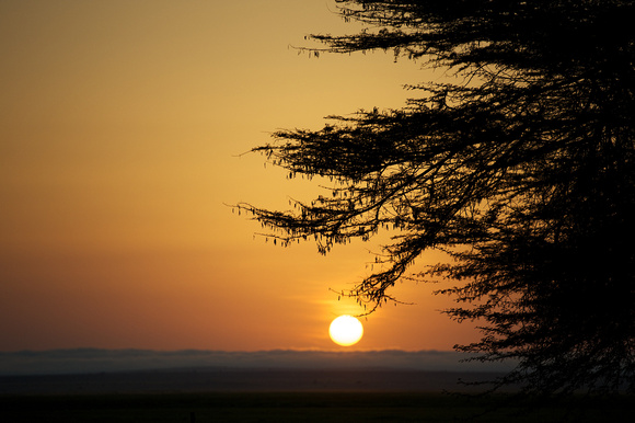 Beautiful African sunrise